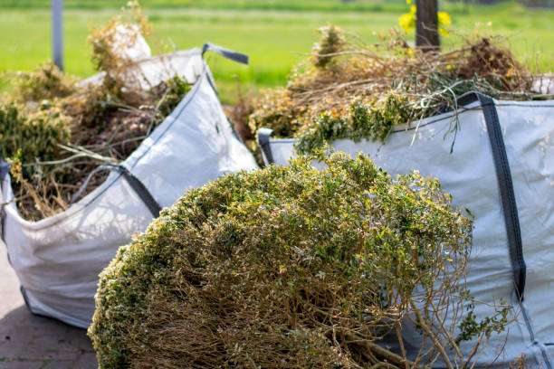 Best Furniture Removal Near Me  in Ashland, VA