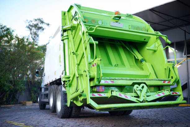 Best Yard Cleanup Services  in Ashland, VA